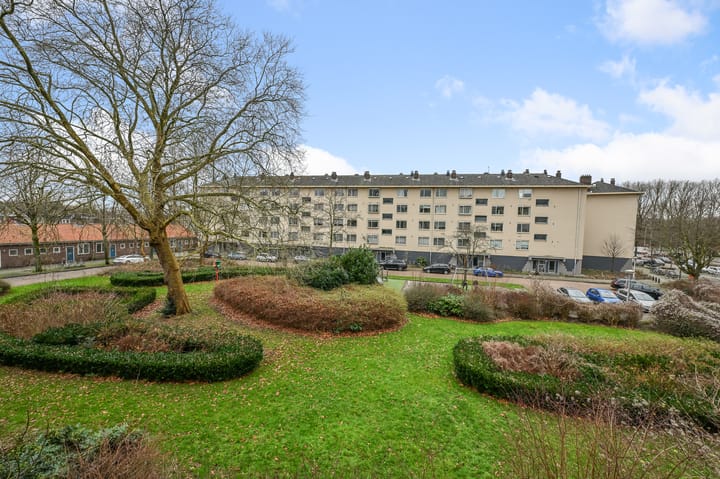 Foto 29 van Petrus Blokhof 12-1