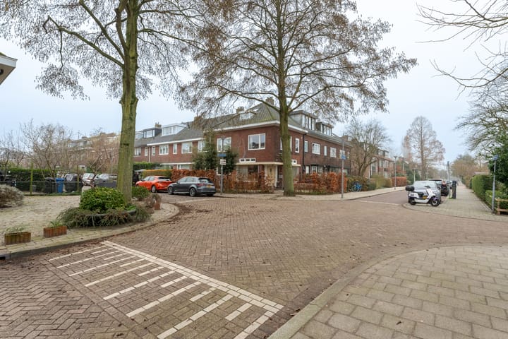 Foto 13 van Borchsatelaan 85