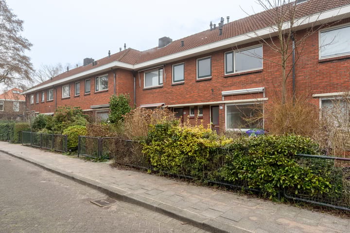 Foto 25 van Borchsatelaan 85