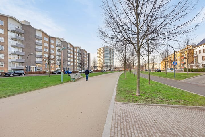 Foto 40 van Attilaweg 5