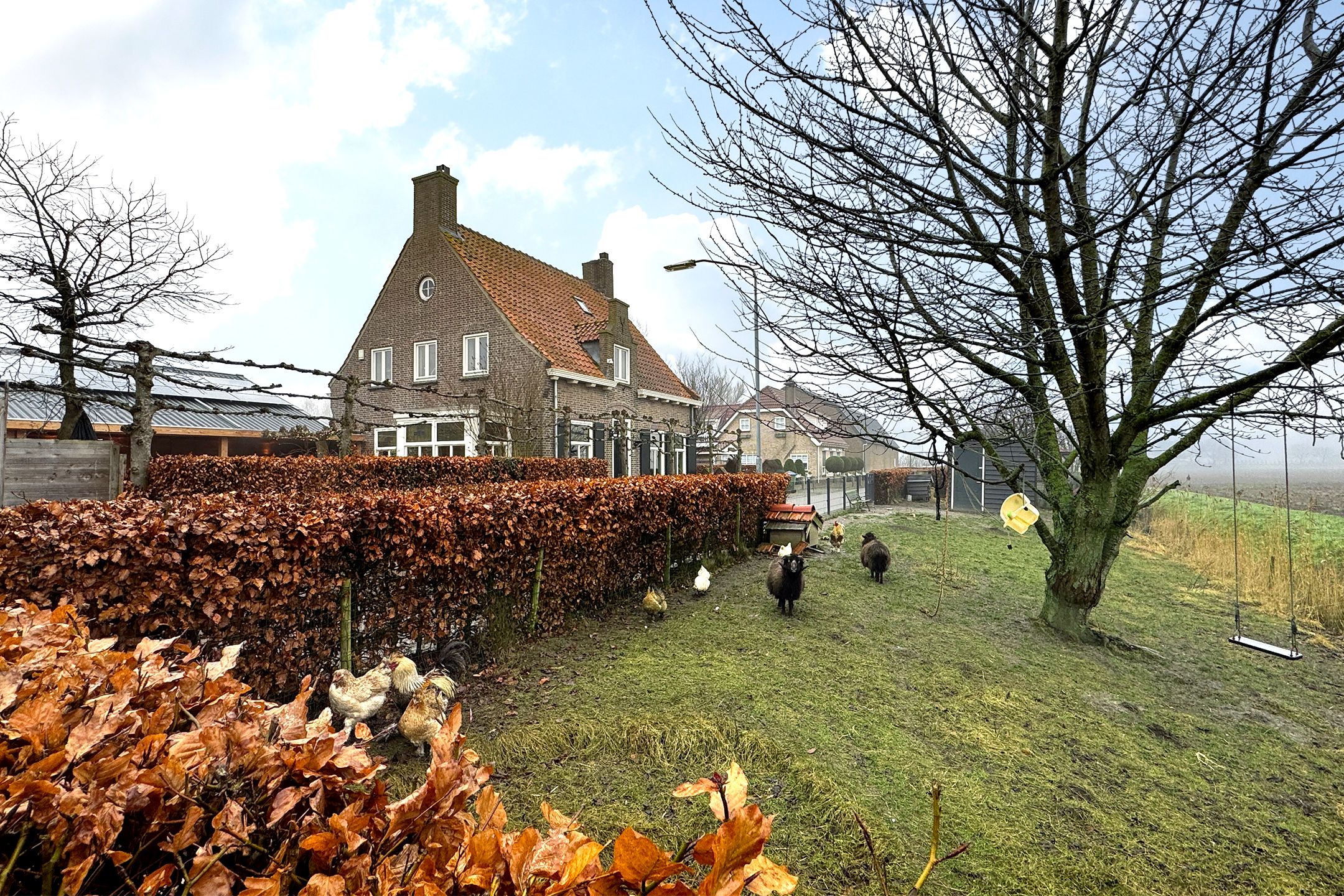 Photo 6 of Ewoudsdam 13