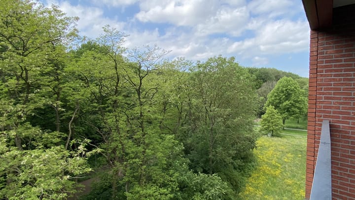 Foto 16 van Wijnruitstraat 239