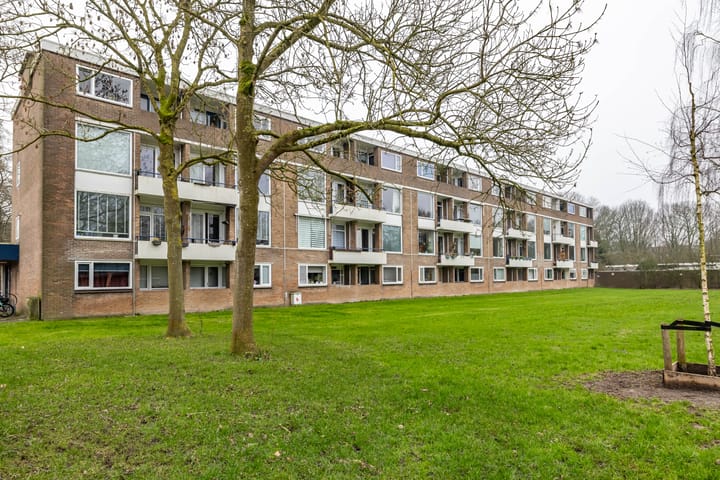 Foto 38 van Illegaliteitslaan 142