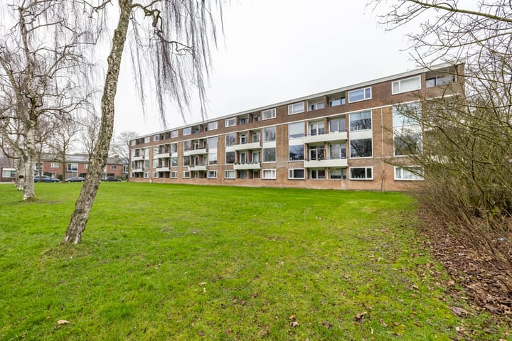 Foto 39 van Illegaliteitslaan 142