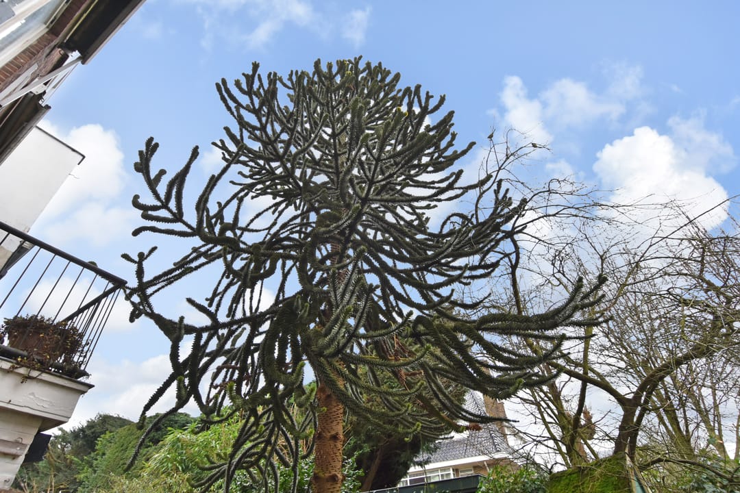 Foto 17 van Kanaalweg 23