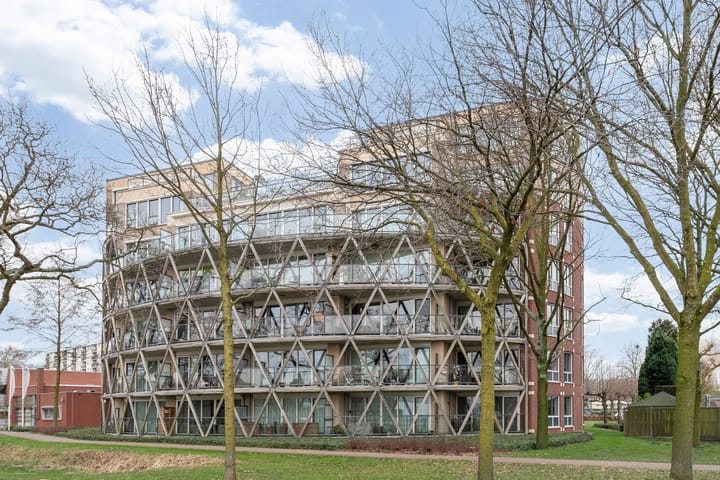 Foto 1 van Octogoon 17