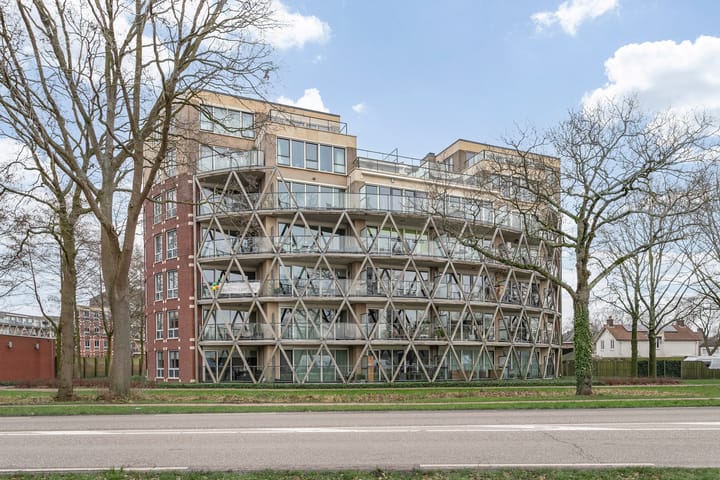 Foto 32 van Octogoon 17