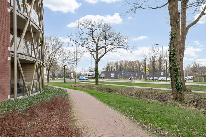 Foto 34 van Octogoon 17