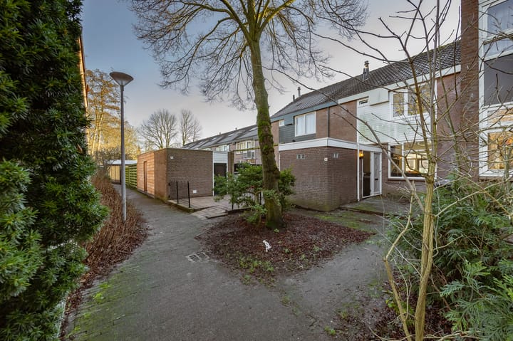 Foto 40 van Golfslag 55