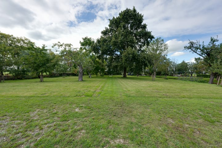 Foto 62 van Oostdijk 13-C