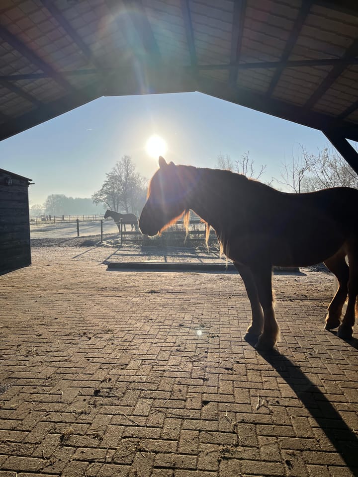 Foto 32 van Poppeswegje 27-B