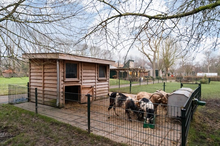 Foto 38 van Othelloweg 365