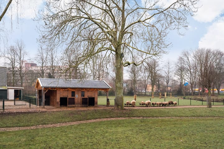 Foto 39 van Othelloweg 365