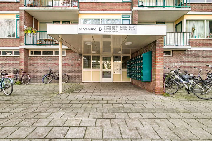 Foto 11 van Opaalstraat 147