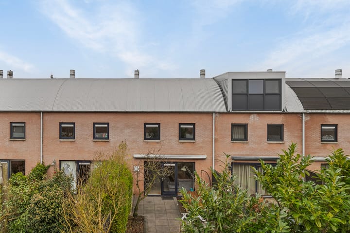 Foto 24 van Palmyra 9