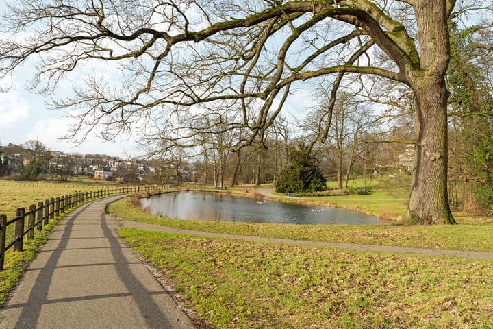 Foto 25 van Bergstraat 230