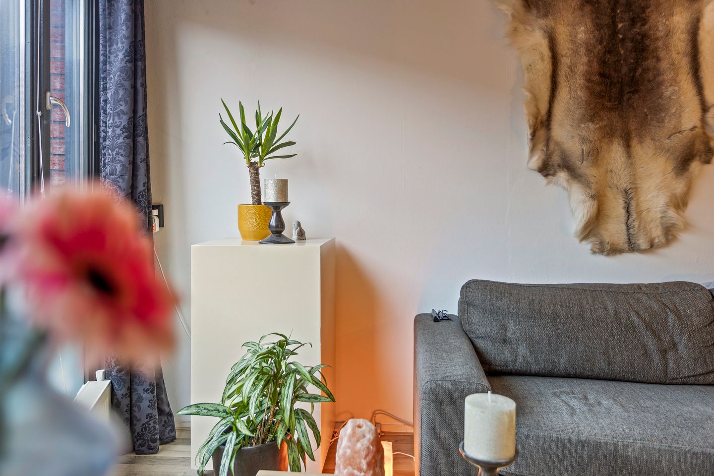 Photo 10 of De Kiel 50