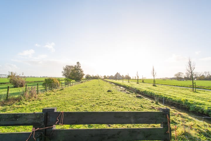 Foto 4 van Zomerdijk 6