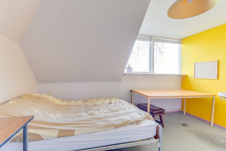 Foto 28 van Zomerdijk 6