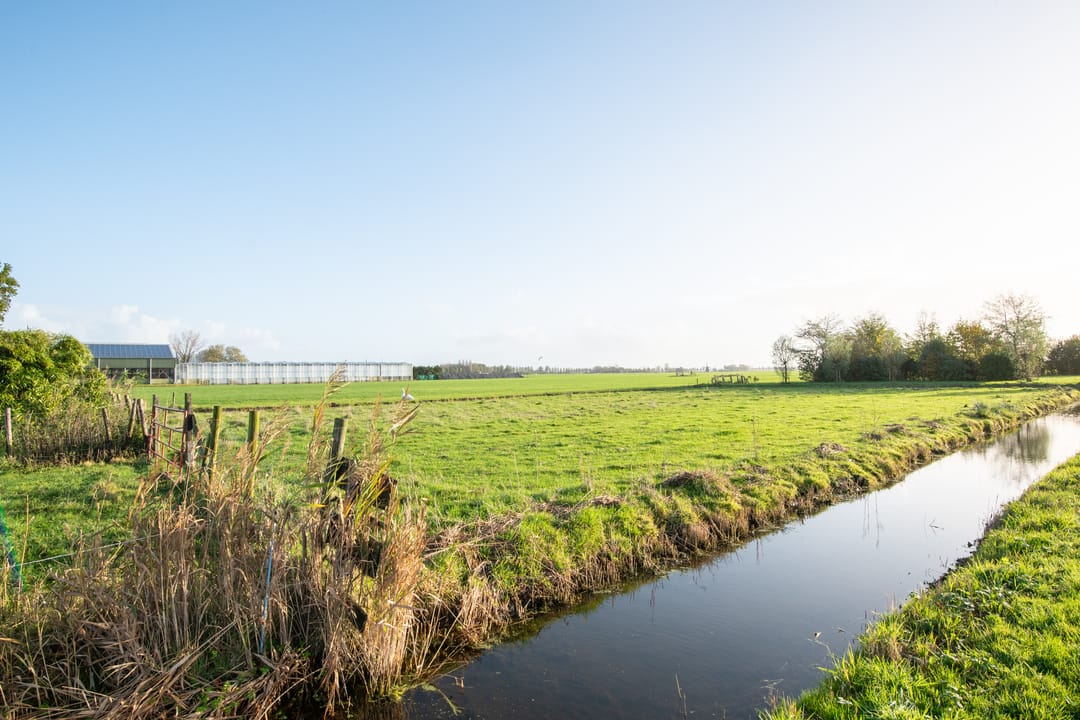 Foto 41 van Zomerdijk 6