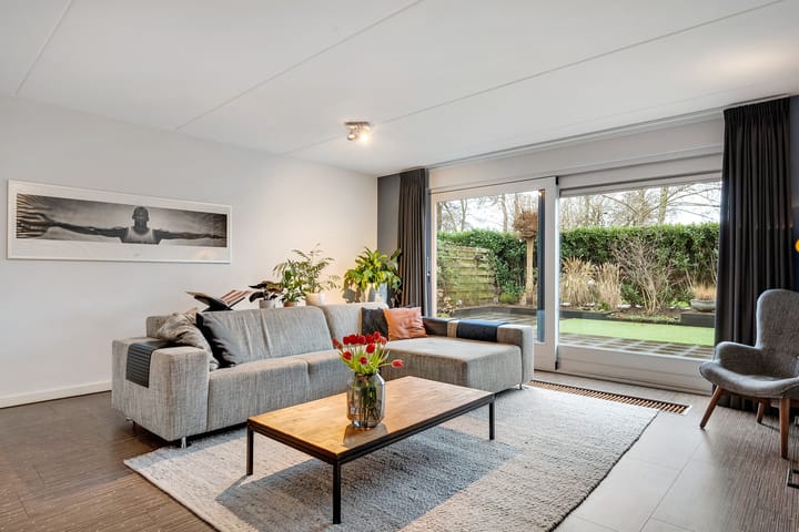 Foto 3 van Luzernevlinder 29