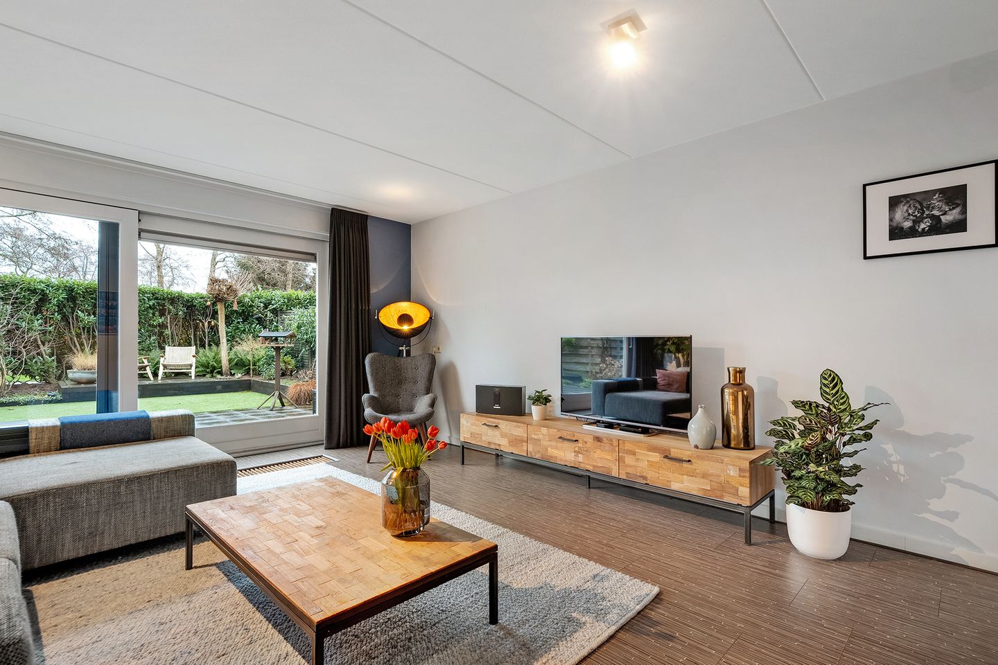 Foto 4 van Luzernevlinder 29