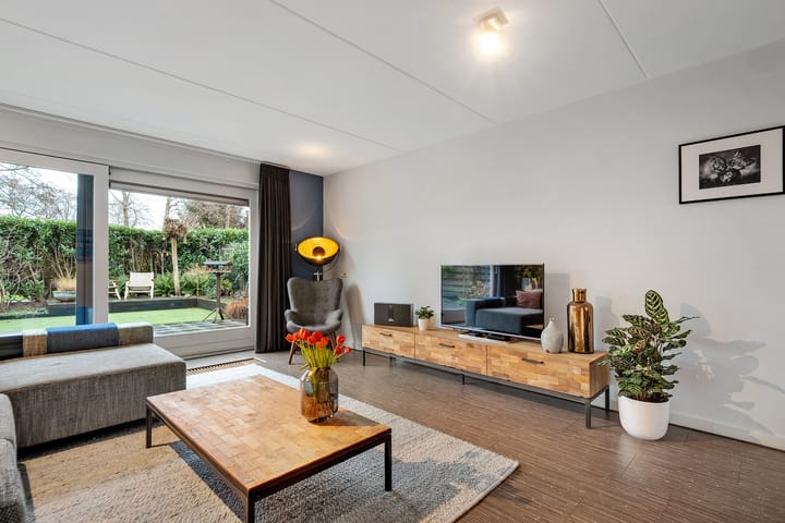 Foto 4 van Luzernevlinder 29