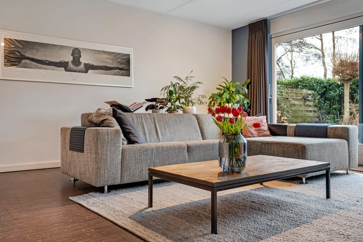 Foto 5 van Luzernevlinder 29