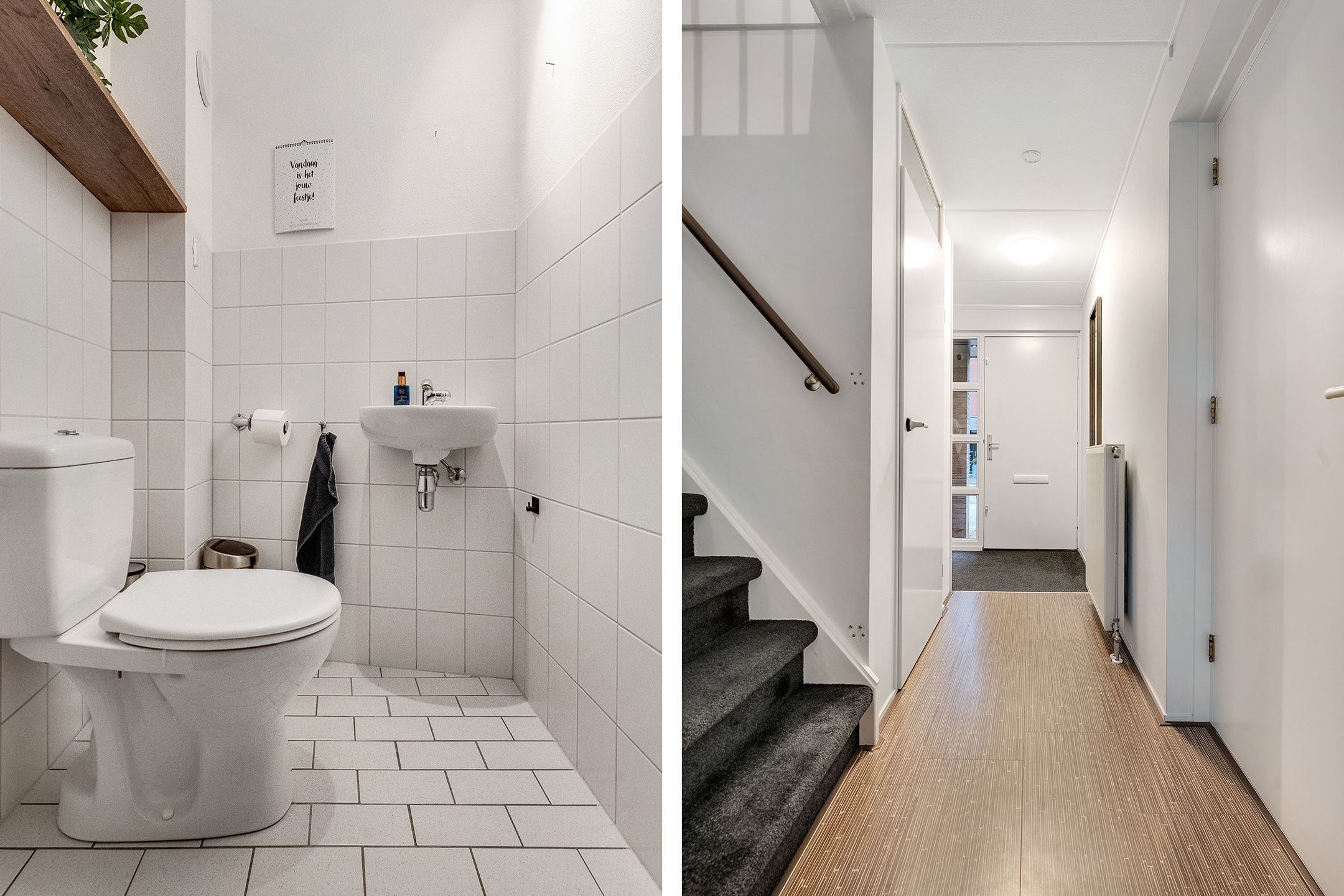 Foto 15 van Luzernevlinder 29