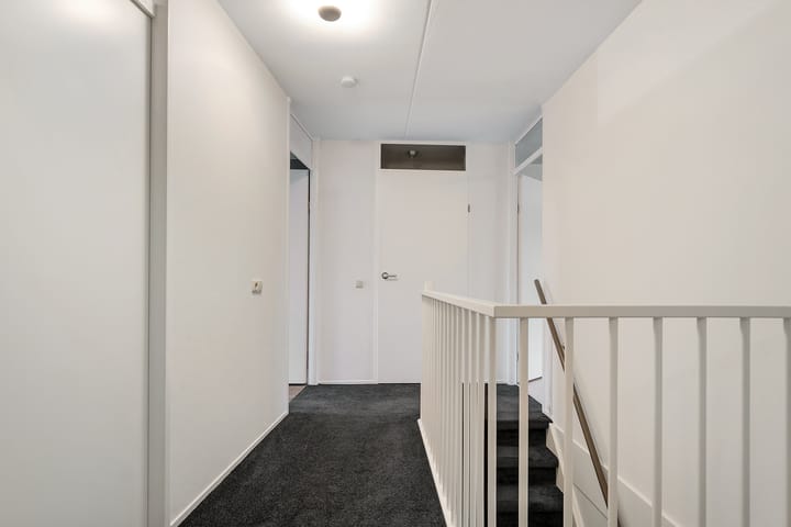 Foto 16 van Luzernevlinder 29