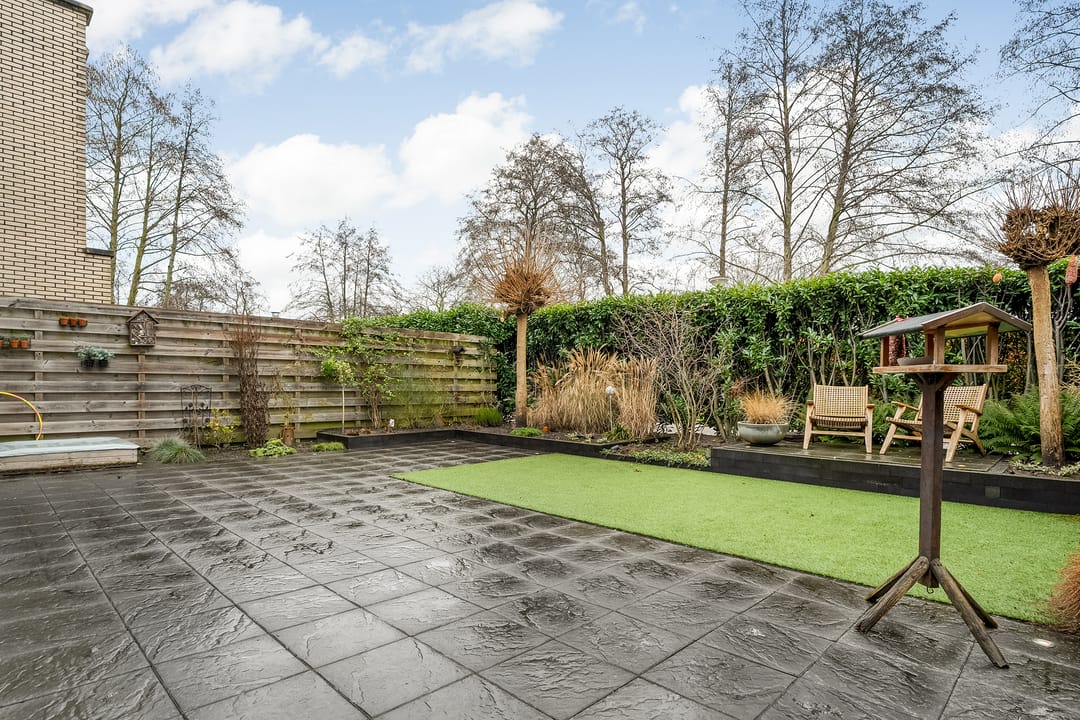 Foto 28 van Luzernevlinder 29