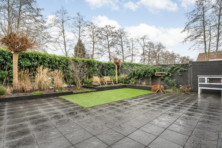 Foto 2 van Luzernevlinder 29