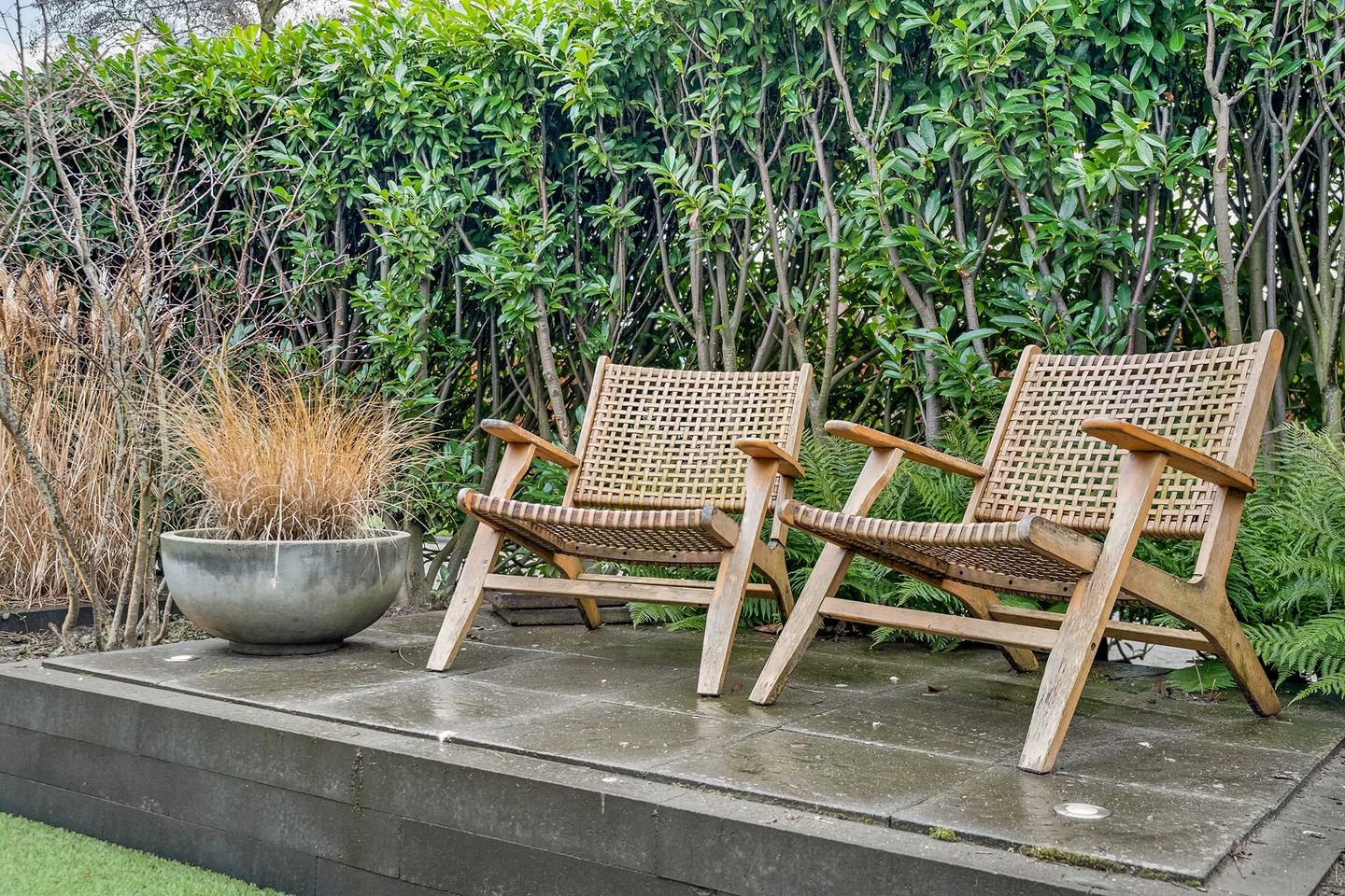 Foto 29 van Luzernevlinder 29