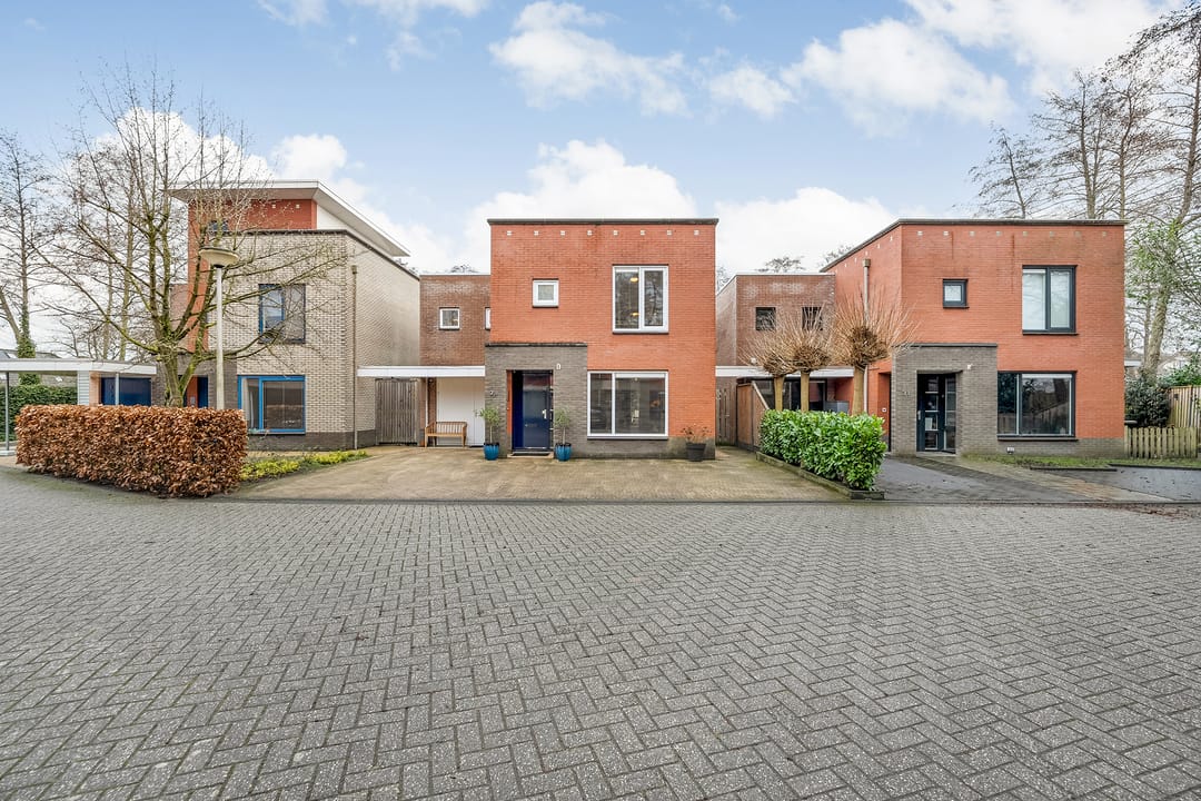 Foto 31 van Luzernevlinder 29