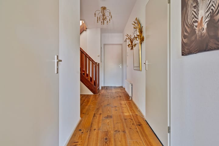 Foto 12 van Noordijs 7-3