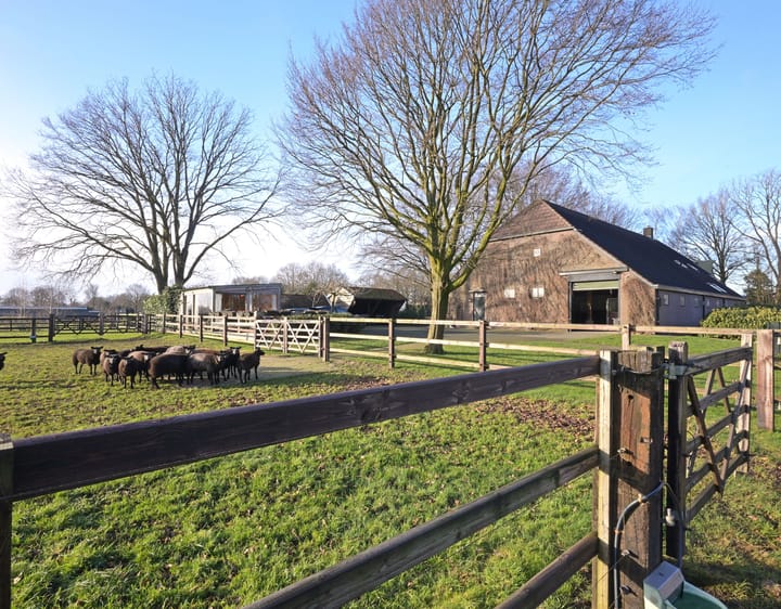 Foto 43 van Tonnendijk 162