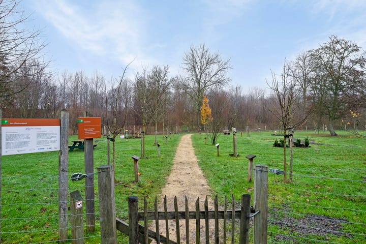 Foto 37 van Katrien Duckstraat 16