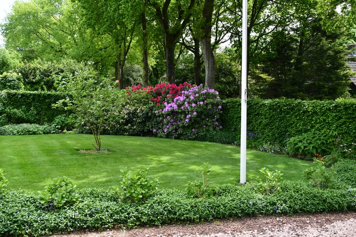 Foto 79 van Dorpsstraat 64-B