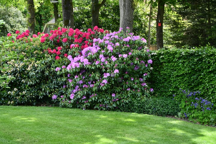 Foto 80 van Dorpsstraat 64-B