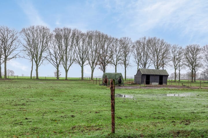 Photo 21 of Zandberg 92