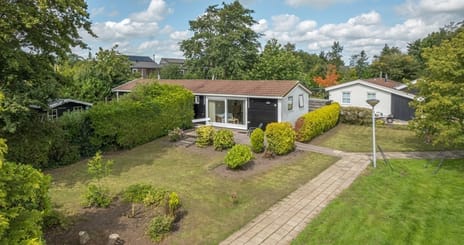 undefined main image