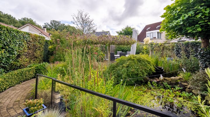 Foto 38 van De Oeverzwaluw 12