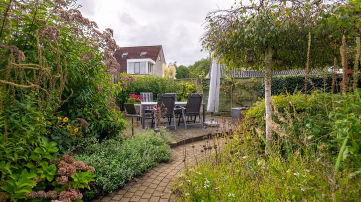 Foto 39 van De Oeverzwaluw 12