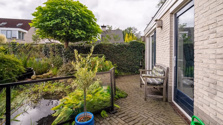 Foto 41 van De Oeverzwaluw 12