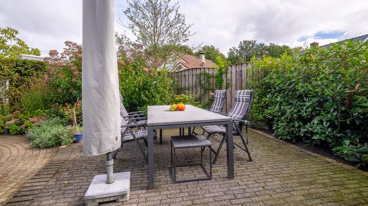 Foto 42 van De Oeverzwaluw 12