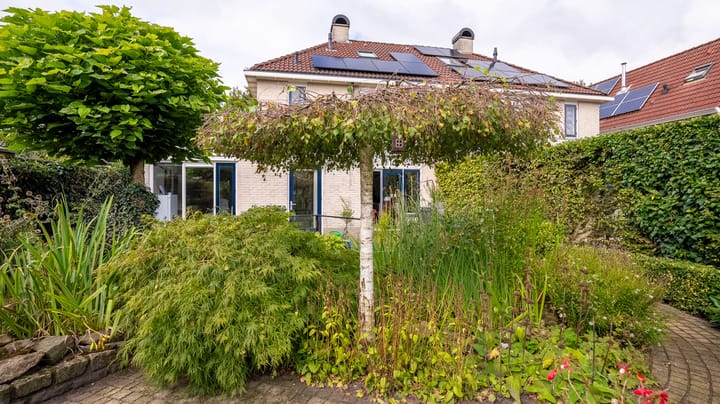 Foto 43 van De Oeverzwaluw 12