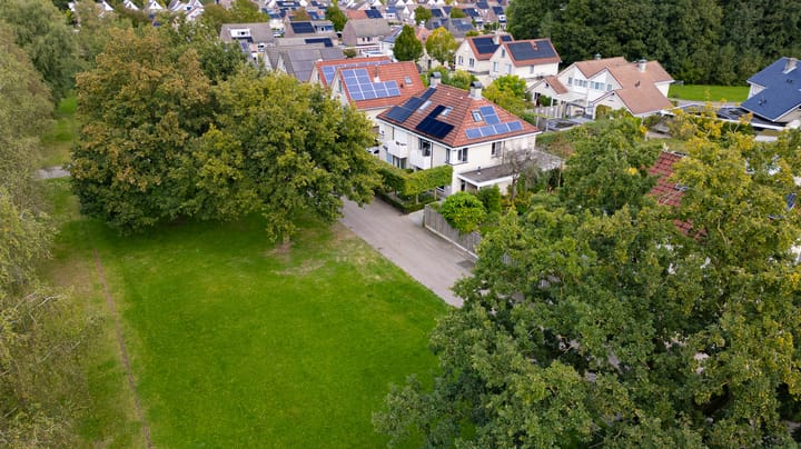 Foto 44 van De Oeverzwaluw 12