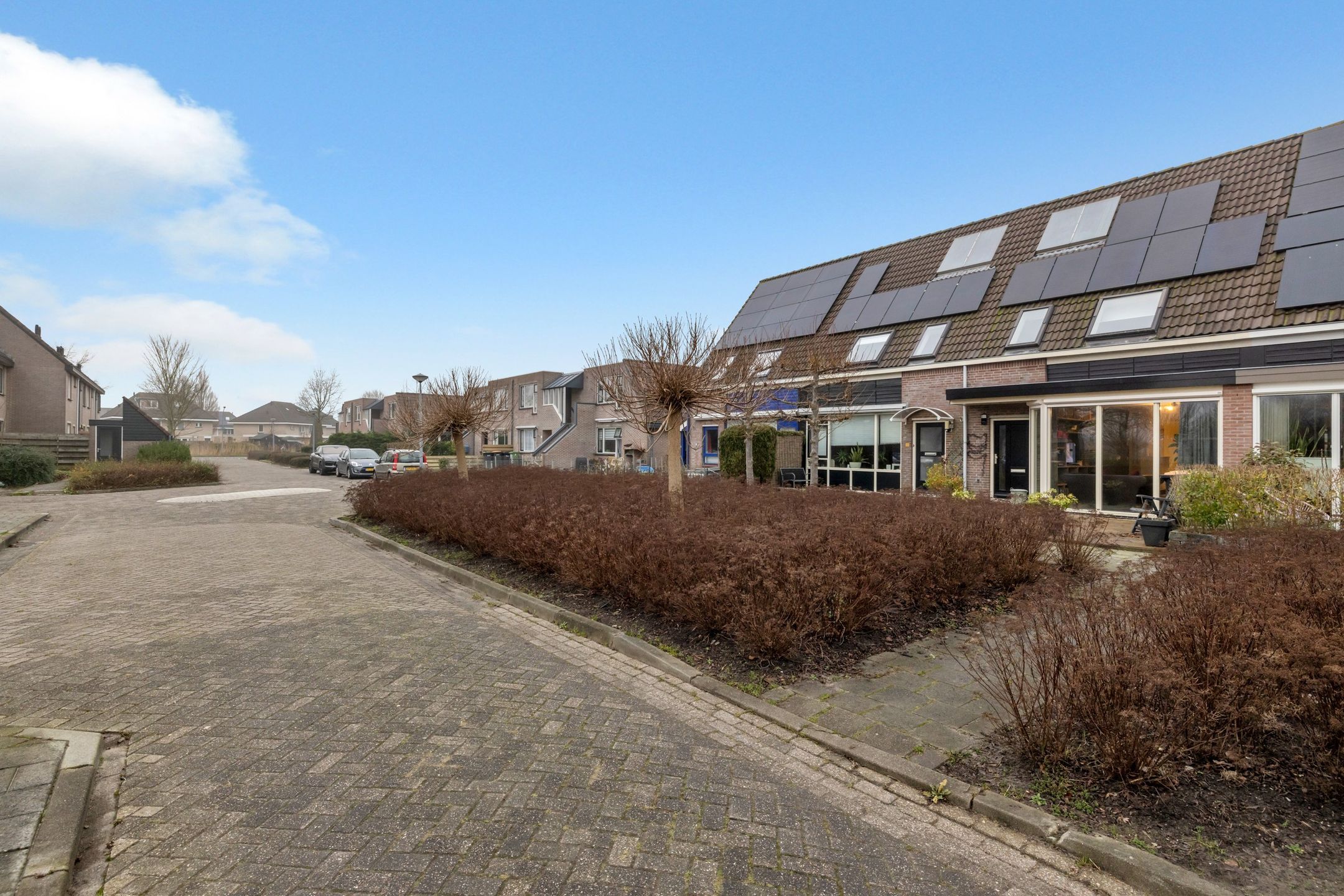 Foto 6 van De Molen 37