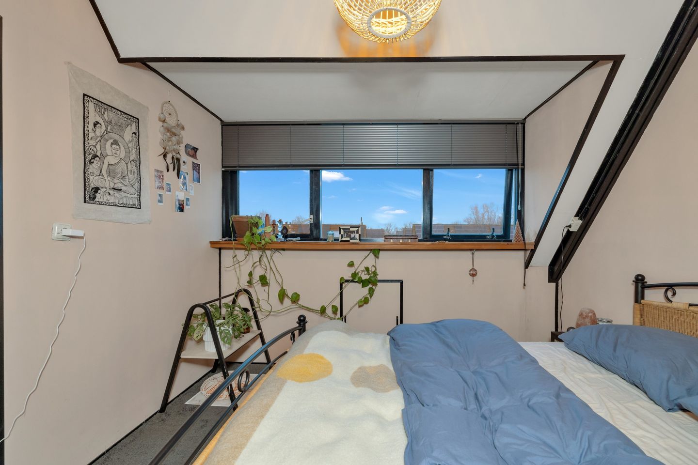 Foto 29 van De Molen 37