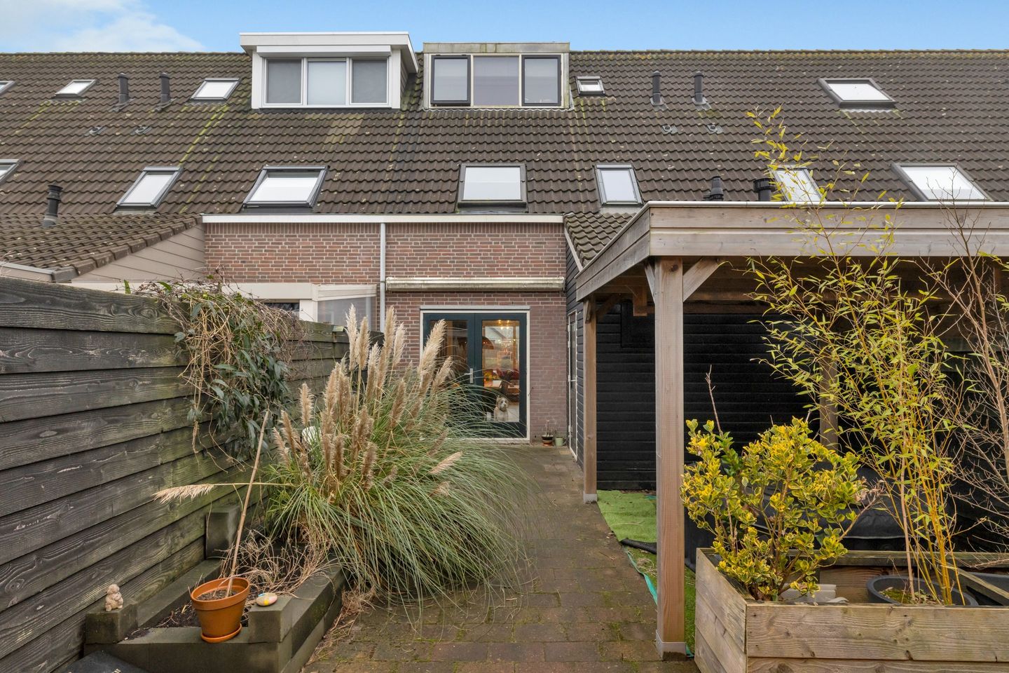 Foto 5 van De Molen 37